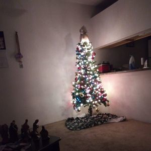 Meet your Posher, Tawny